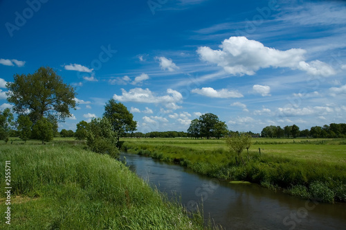 dutch landscape