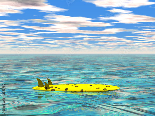 surfboard at the calm sea