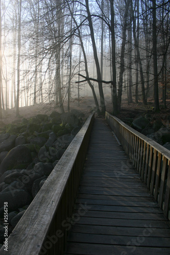 nebel