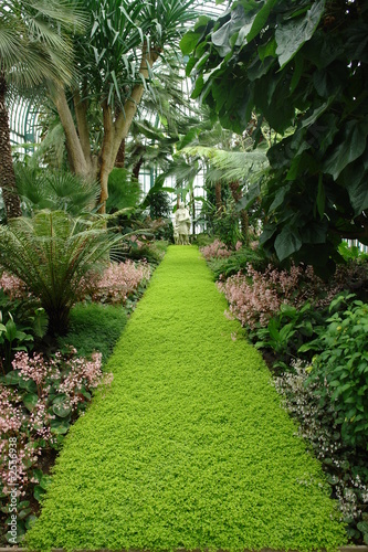 tropical garden