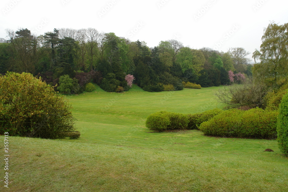 Naklejka premium royal garden