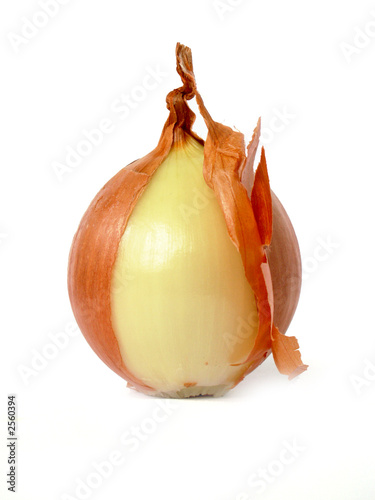 onion photo