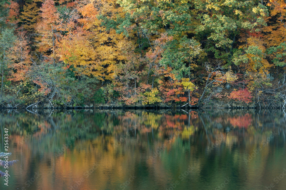 autumn reflections... autumn reflections...