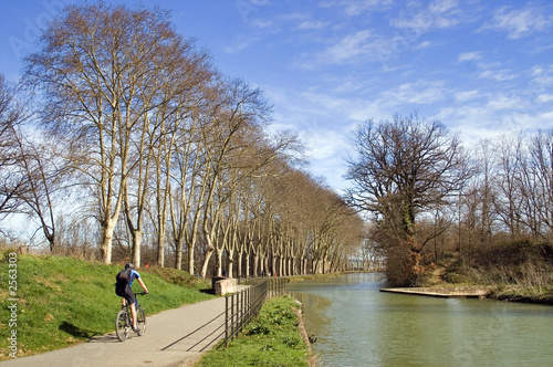 Photography le cycliste du canal