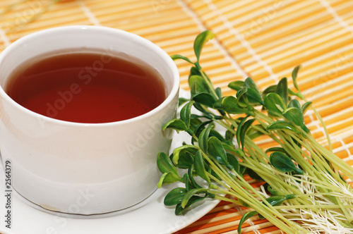 cup of black tea and herbs on orange mat