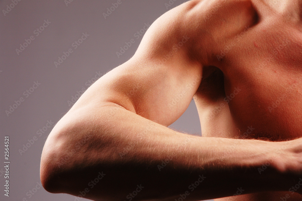 fitness fitness