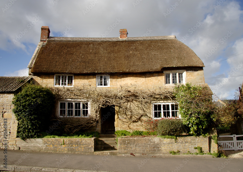 thatched medieval house