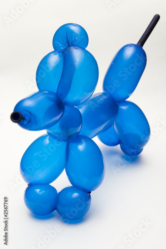 balloon dog