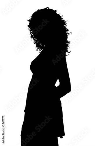 silhouette donna sexy