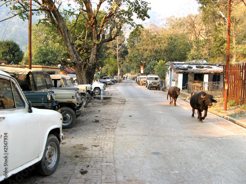 street of rishikesh photo