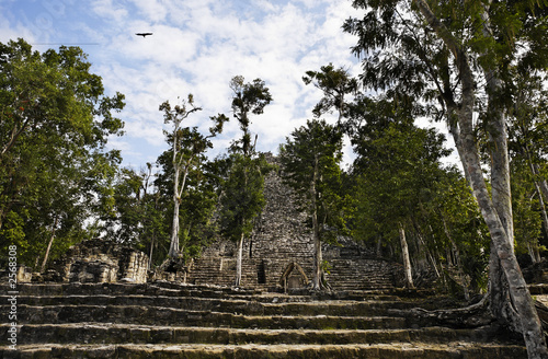 mayan site of coba