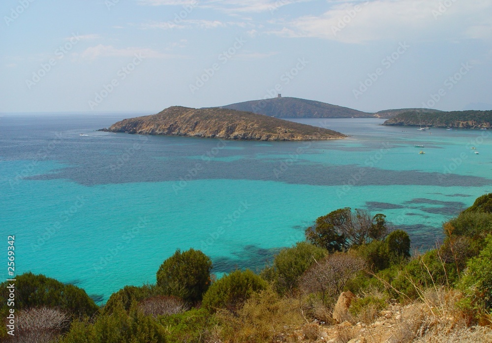 Fototapeta premium mare sardegna