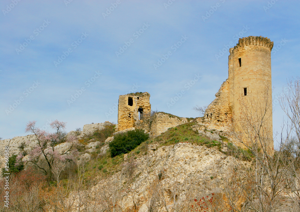 château en ruine