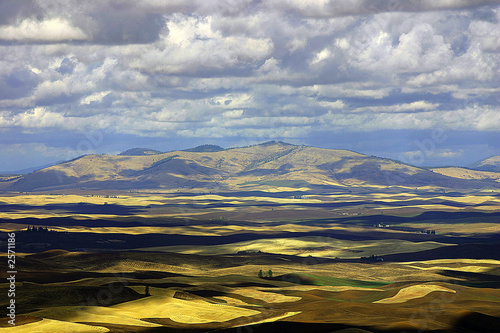 farmland hills