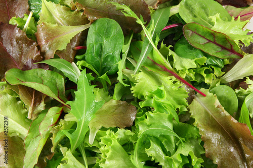 fresh mixed lettuces, top view photo