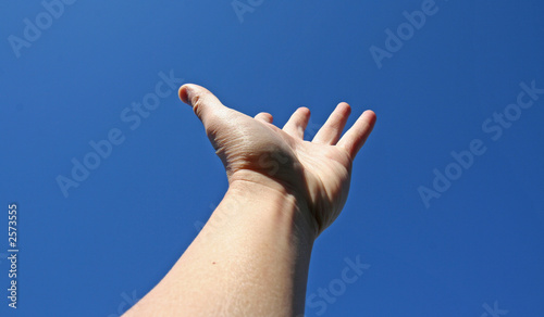reaching for the sky photo