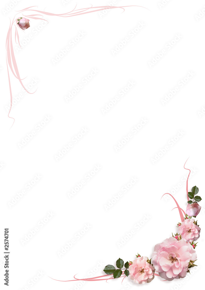 frame of rosess 2