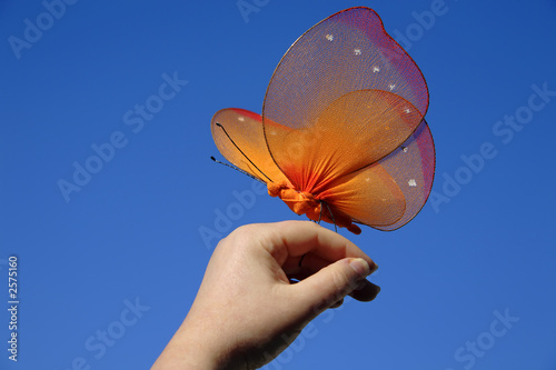 spring : butterfly resting on my hand