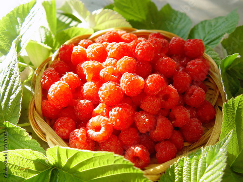 raspberry