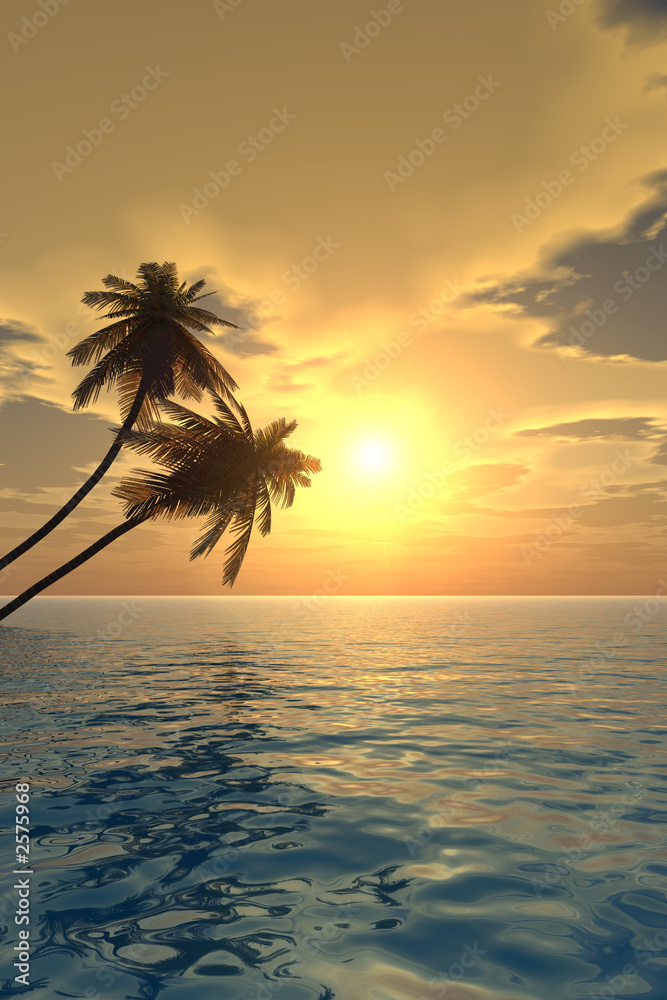 palm_sunset2_v