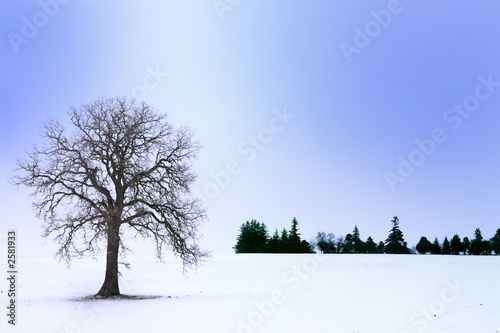 lonely horizon
