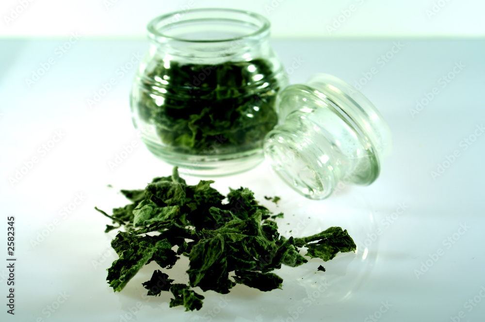 green mint green mint