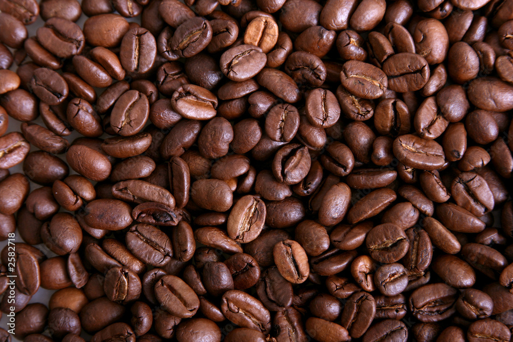 kaffeebohnen kaffeebohnen