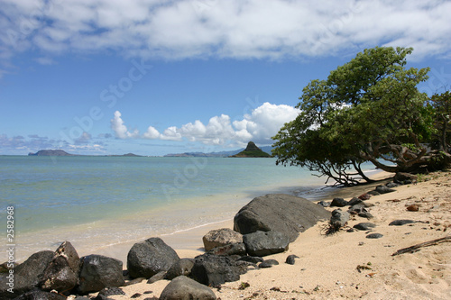 beach at northshore oahu