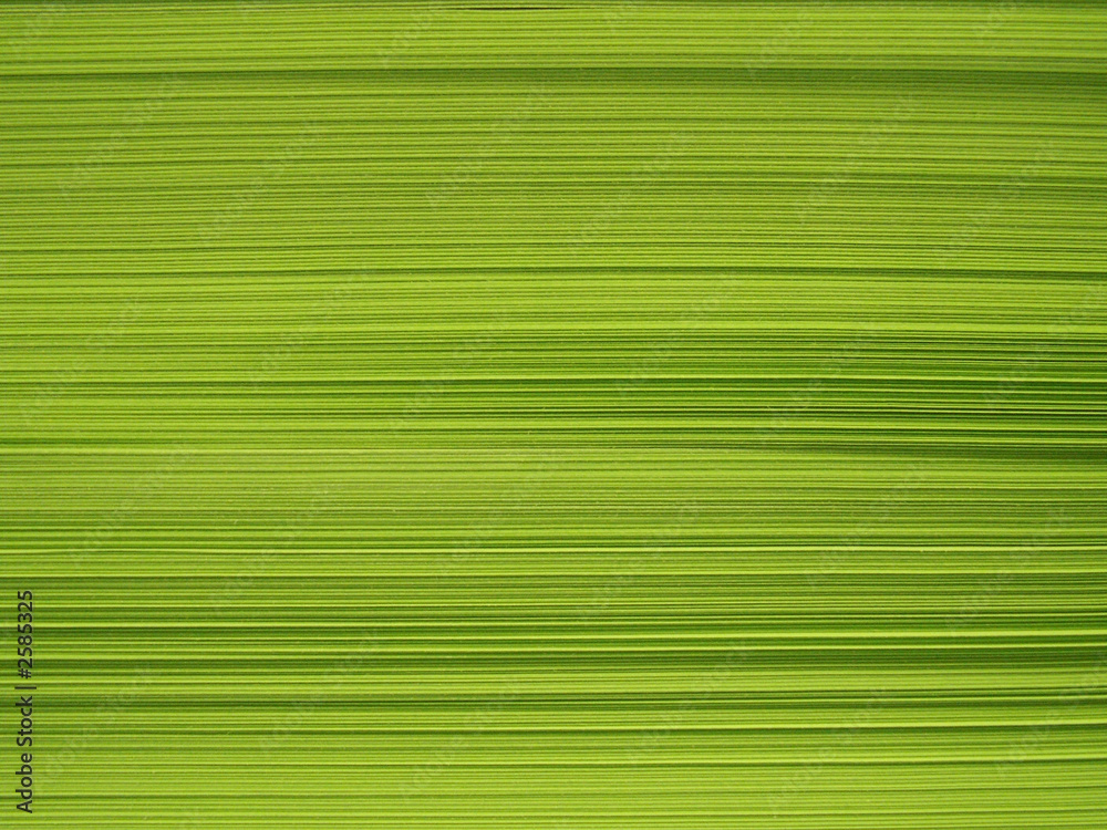 green paper.jpg green paper.jpg