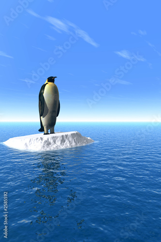 penguine_v