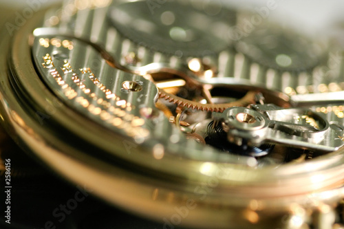pocket watch macro