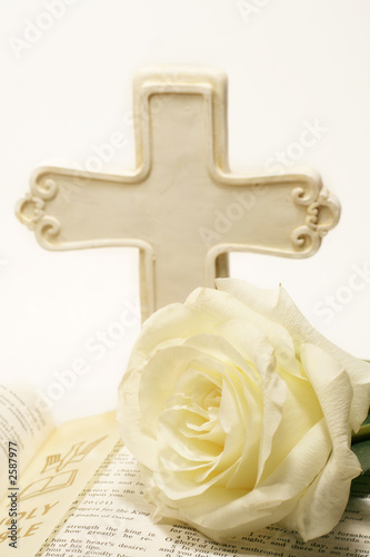 rose and bible