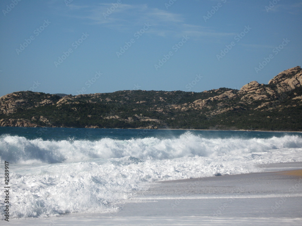 Fototapeta premium herbaju, la plage