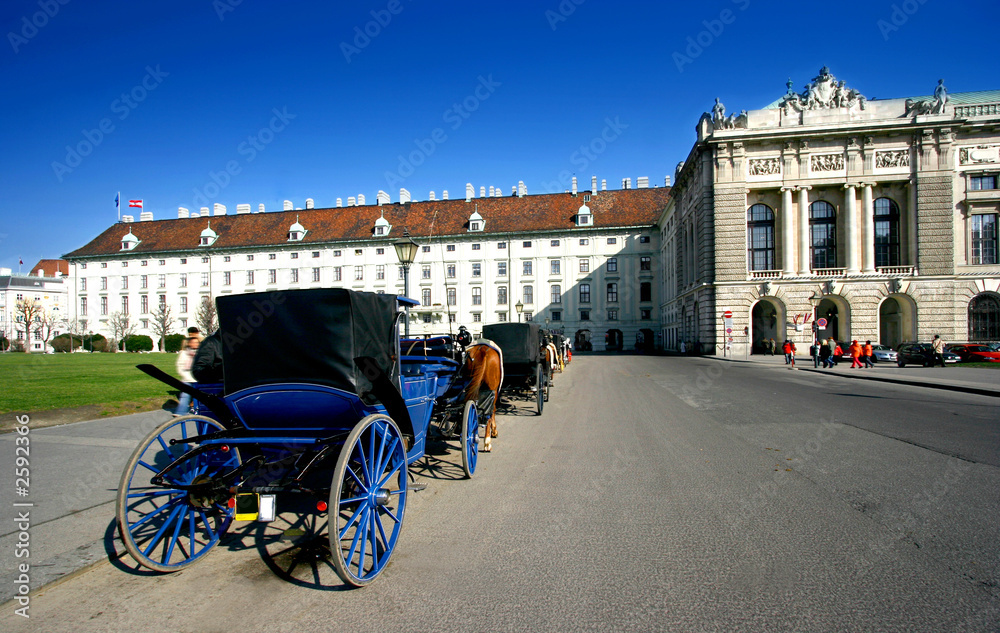 horse drawn carriages in hofburg,vienna.