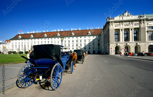 horse drawn carriages in hofburg,vienna.