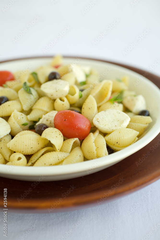shell macaroni and chesse with tomato shell macaroni and chesse with tomato