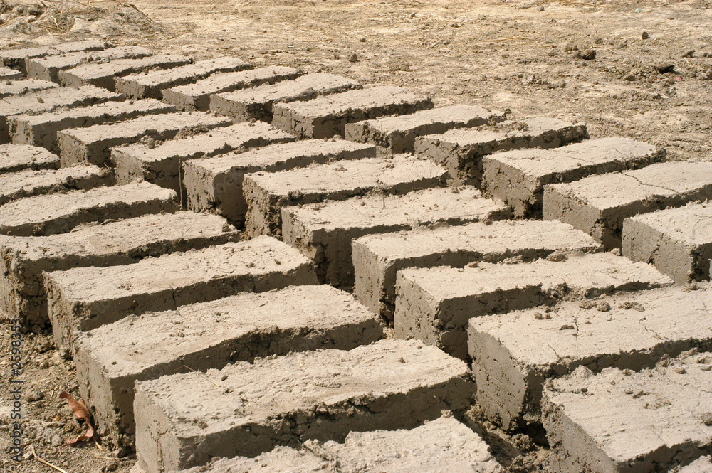 briques de terre