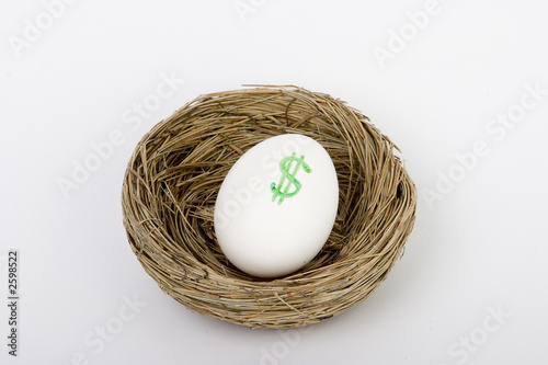 nest egg dollars