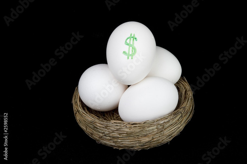 full nest egg dollars