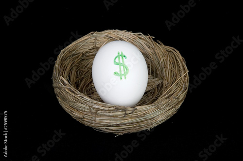 retirement nest egg dollars