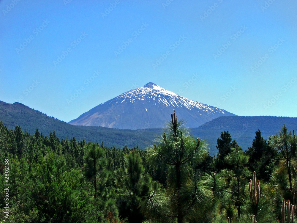 Fototapeta premium teide