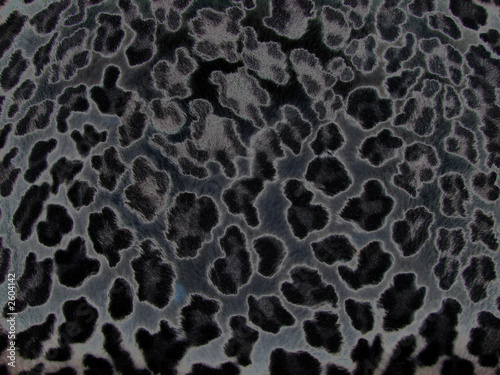 light catcher dragon