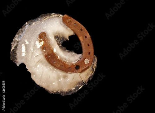 Bild auf Leinwand horse-shoe
