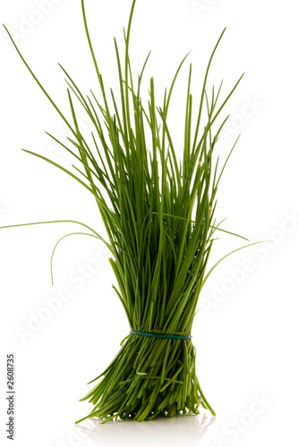 chives
