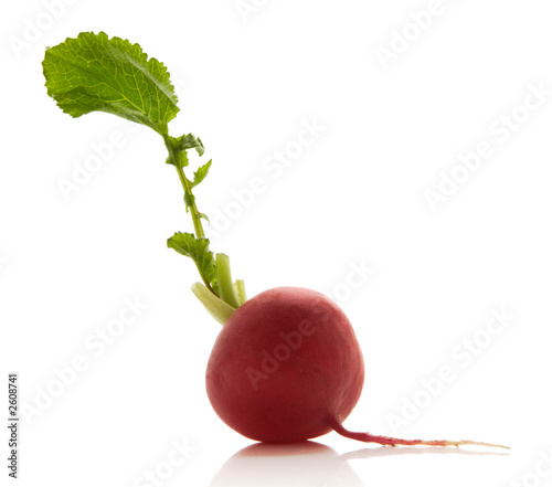 radish