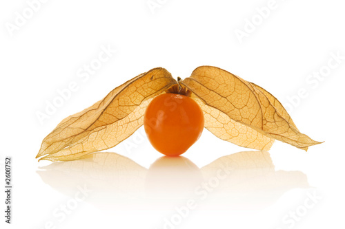 physalis