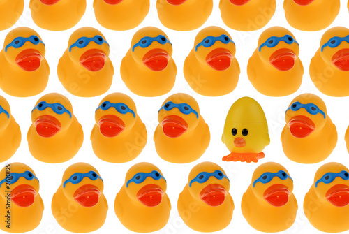 group of yellow rubber ducks and a chick