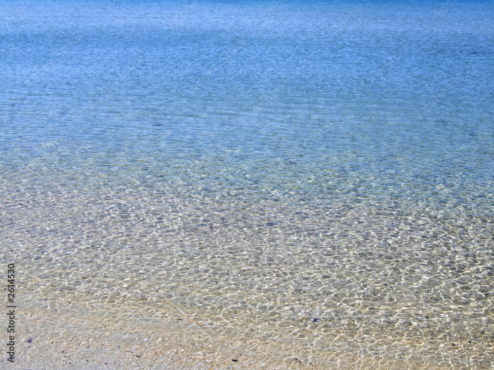 Obraz premium beach detail