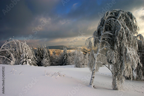 winter