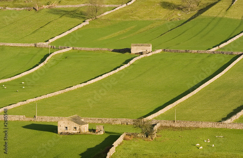 hay meadows in rural yorkshire